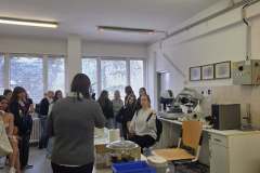 9b47f5e4-6913-41ed-a687-8ff4e0c02b44