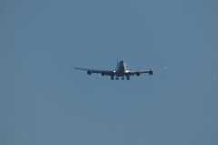 P1170834