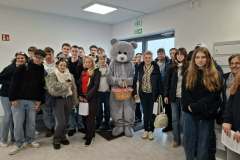 Messenger_creation_7E6B18A5-E13D-4514-8DD5-5152A4A7A879