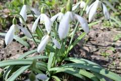 Messenger_creation_34AC2A30-DFA8-424F-BE9C-7526BE50A2D5