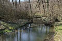 Messenger_creation_49254610-A48A-46B5-941C-07389F281D02