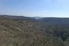 Messenger_creation_FEBC4646-C01B-4240-8AAE-63211CF4C937