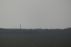 P1300806