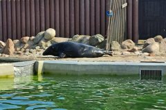 Messenger_creation_FDBA7551-C2B6-4A40-8B63-8A7F92F7FDB2