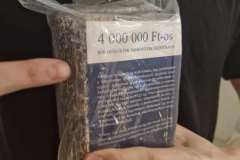 98d4b0f5-2bf8-4a53-8c3d-f06223f4a997