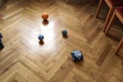343968276_613938787316069_5941356879038715264_n