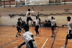 0ac9dc3a-33b2-492a-aa49-10049843e7cc