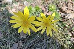 Messenger_creation_3E7330E5-1579-472B-BCBD-49CF360DEEDF