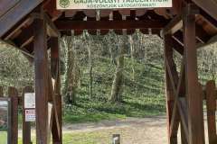 Messenger_creation_DE00286F-5DC2-41F5-BC4E-DFBFE3E6C6CD